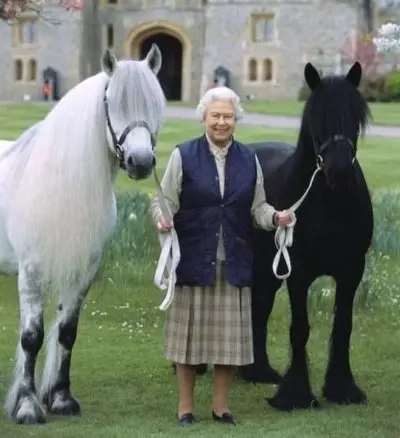 RIP our great queen. 😢❤️